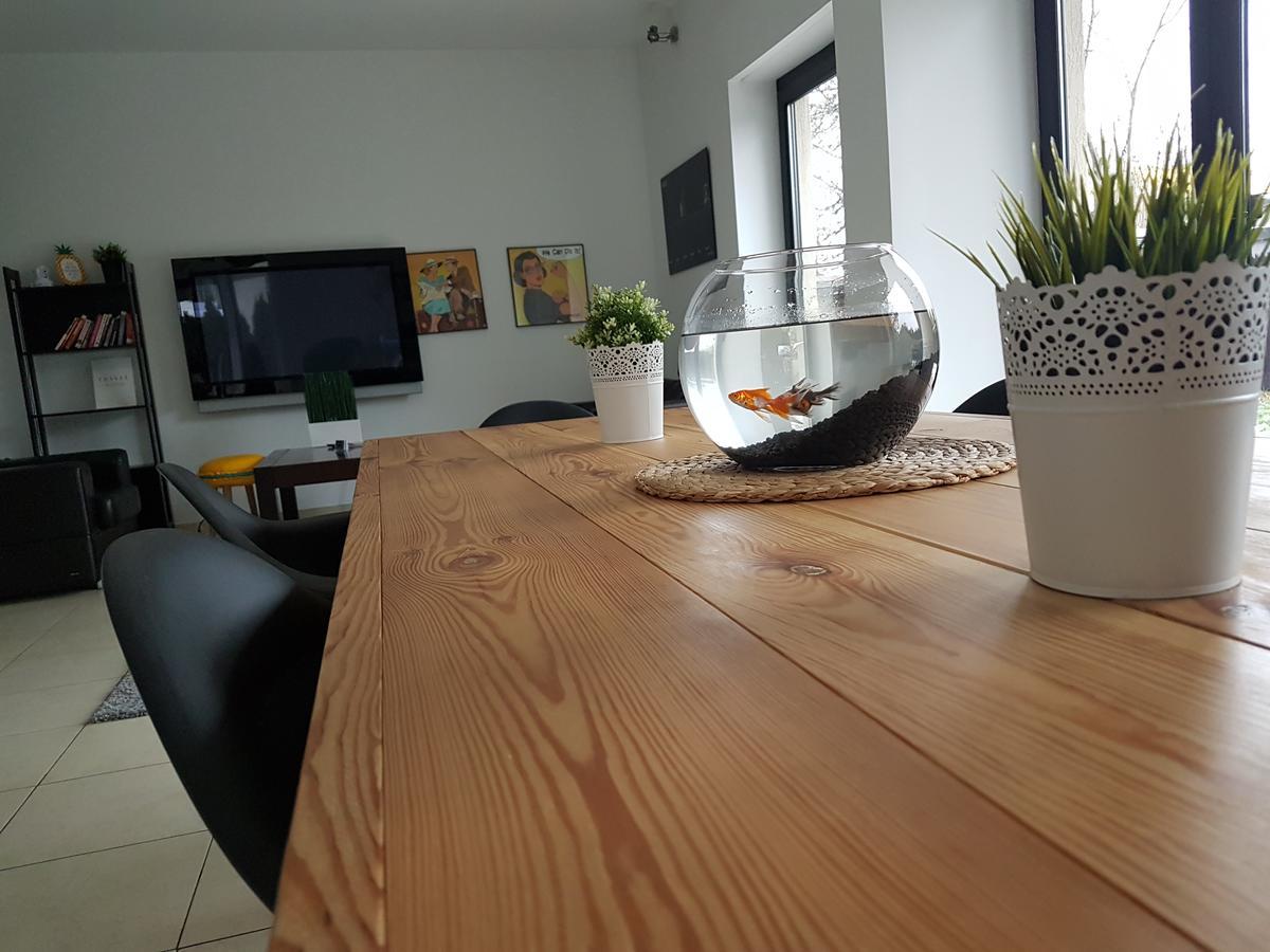 Hostel Loft Airport